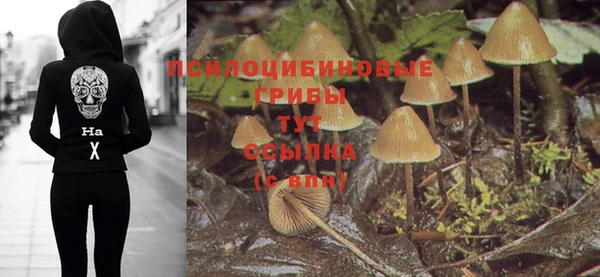 таблы Вязники