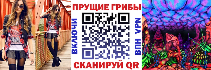 Галлюциногенные грибы Cubensis  Канаш 